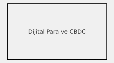 Dijital Para Ne Zaman Yaygınlaşacak? Kripto Yerine CBDC Dönemi Başlıyor